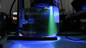 Fluorescence sensors calibration