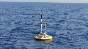 E1-M3A buoy (Sep. 2016)