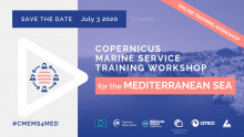 Online CMEMS Training workshop for the Mediterranean Sea