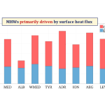 Percentage of marine heatwaves driven by surface heat flux